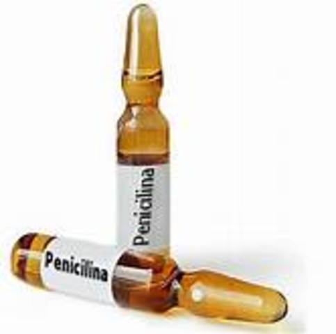 La penicilina