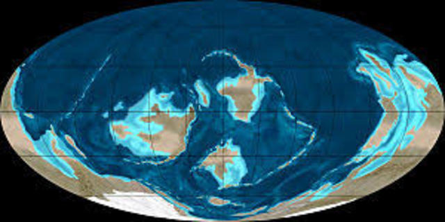 Paleozoico - Ordovícico