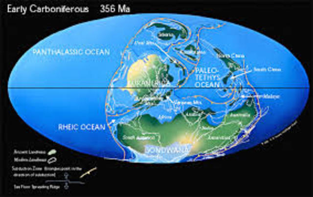 Paleozoico - Carbonífero