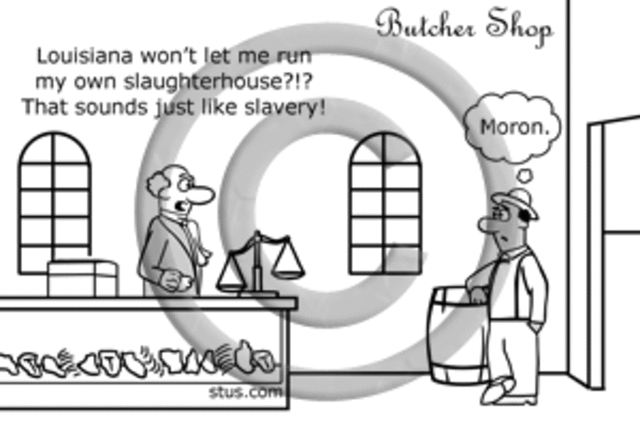 Slaughterhouse cases