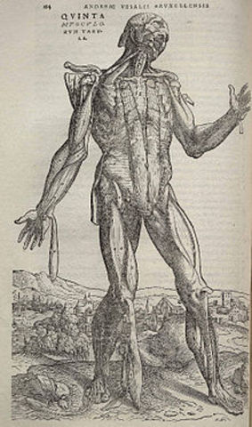 Vesalio publica la obra de De humani corporis fabrica, sobre la anatomía humana.