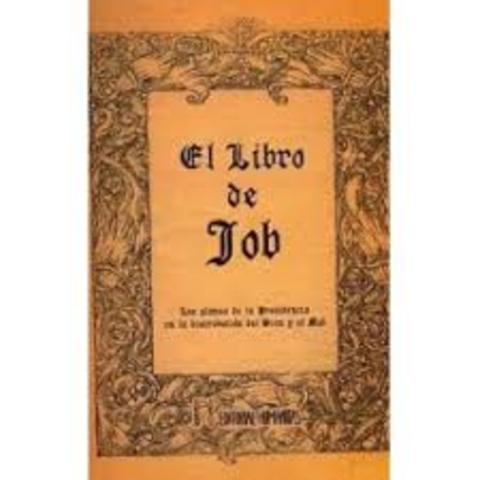Libro De Job