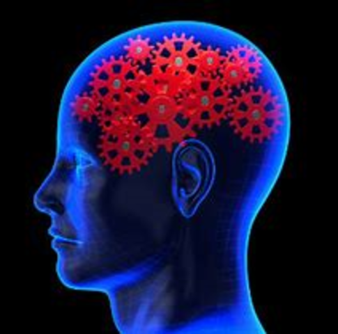 Las últimas décadas S XX: Gestalt, Humanismo, Cognitivismo