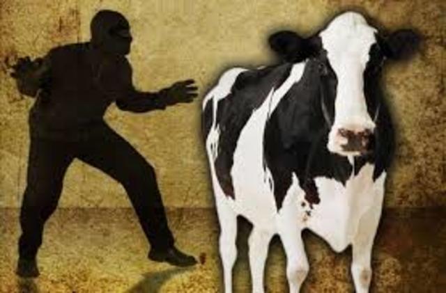 Sam is taken in as a cattle thief