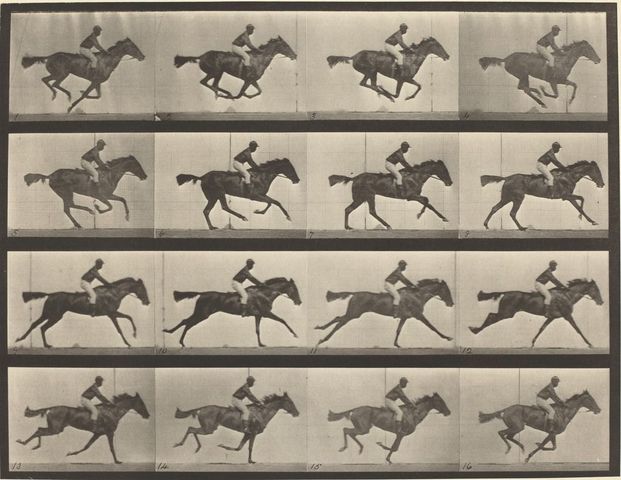 Muybridge 1870
