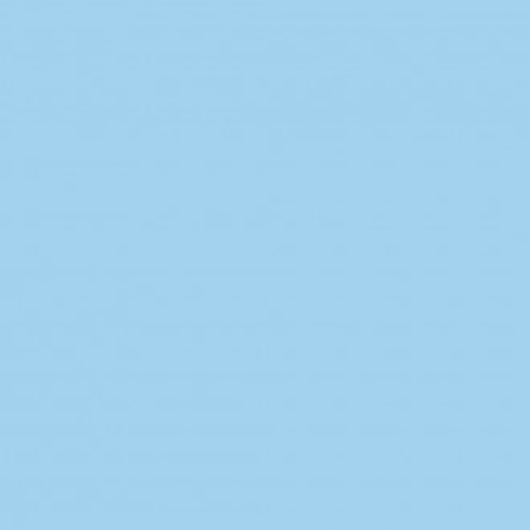 Masjid Study Project Published