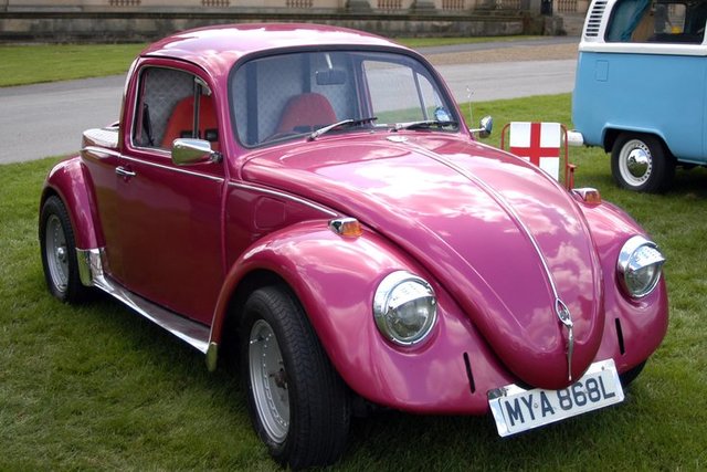 The Beetle