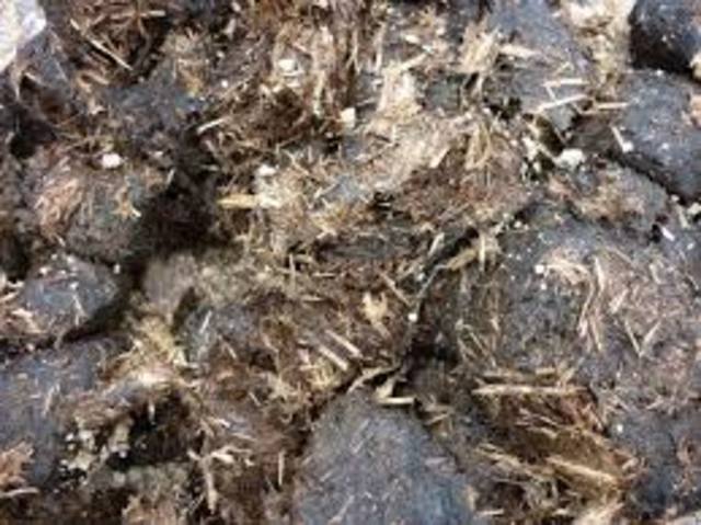 Accounts of the first uses of fertilizers