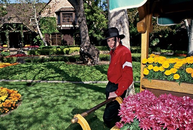 Michael é absolvido das acusações e vai embora da Terra do Nunca