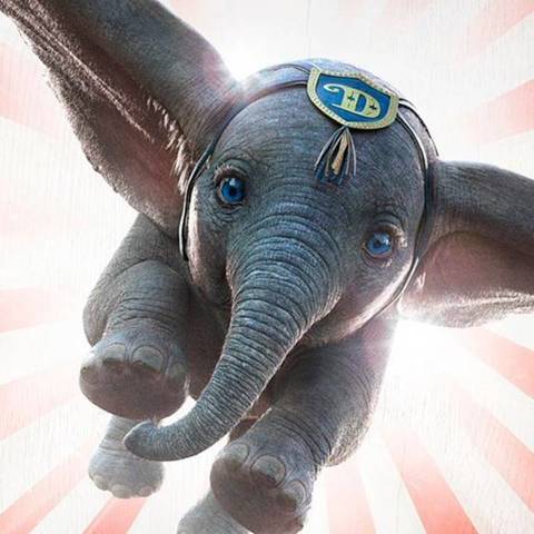 Dumbo