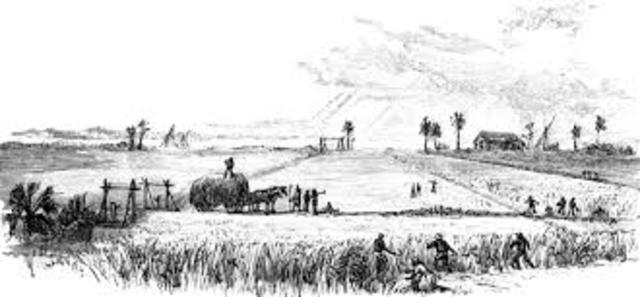 North Carolina colony was founded.