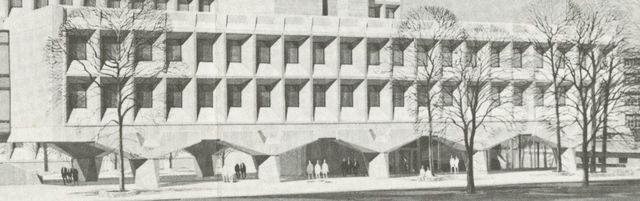 He enrolled in New York University to study Biomechanics