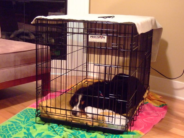 Frida's Apartment Life