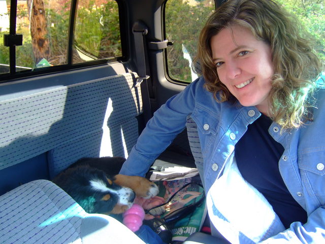 Frida Comes to Work!