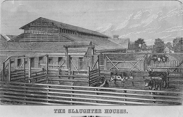 Slaughterhouse cases (1873) PHASE 3