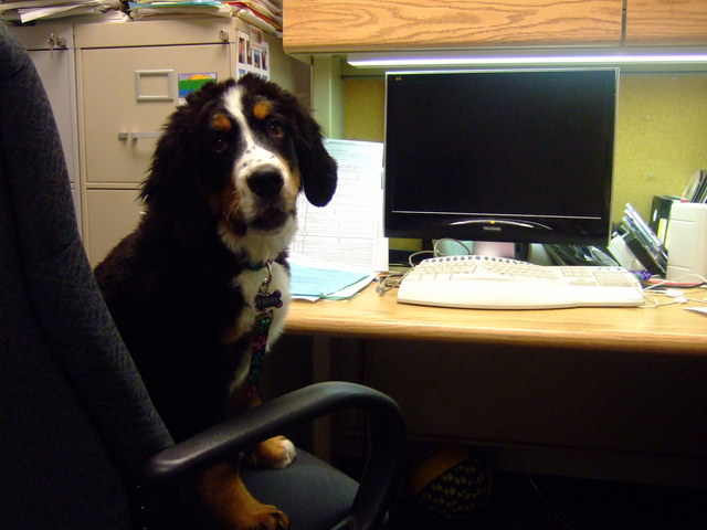 Frida Runs the School