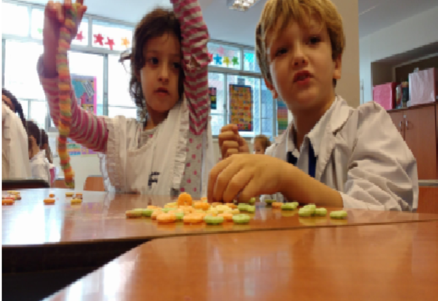 Haciendo cereales en primero