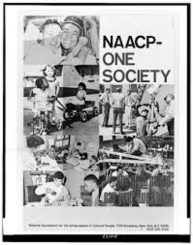 NAACP (National Association for the Advancement of Colored People)