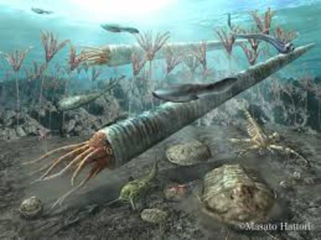 Ordovician