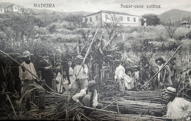 La economía de Canarias.