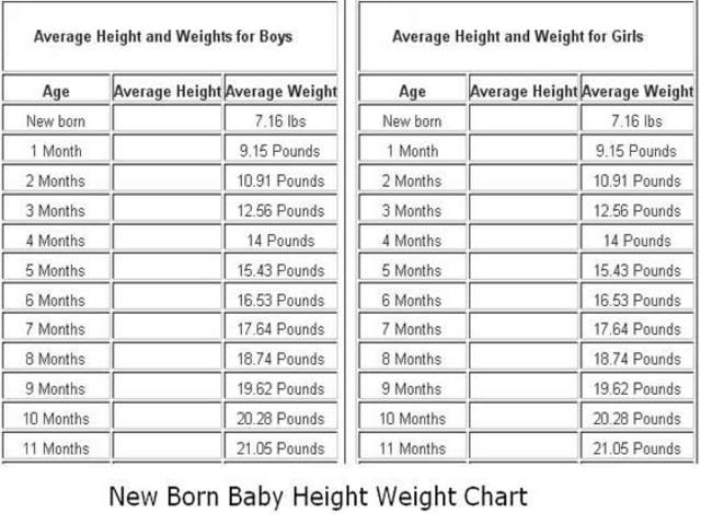 Height & Weight