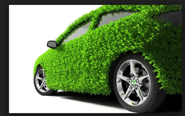 Зеленое будущее