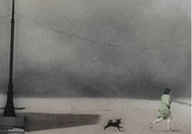 Invasion de la Pologne par l'Allemagne nazie : début de la Seconde Guerre mondiale