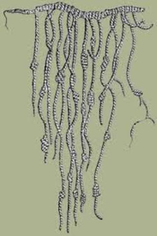 QUIPUS MAYAS