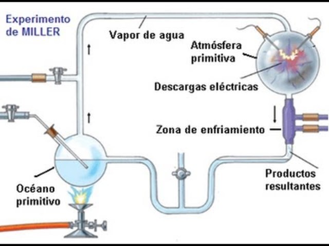 Experimento de Miller