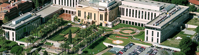 vaig néixer el 7 d'abril de 2005