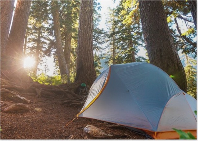 Sophie to the rescue