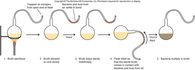 Louis Pasteur's work with spontaneous generation