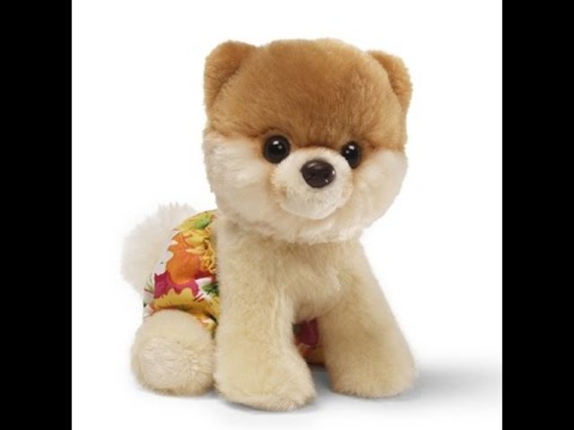 em regalen el meu peluix preferit