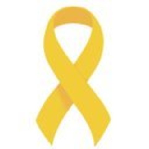 Empresonament polítics(polític)