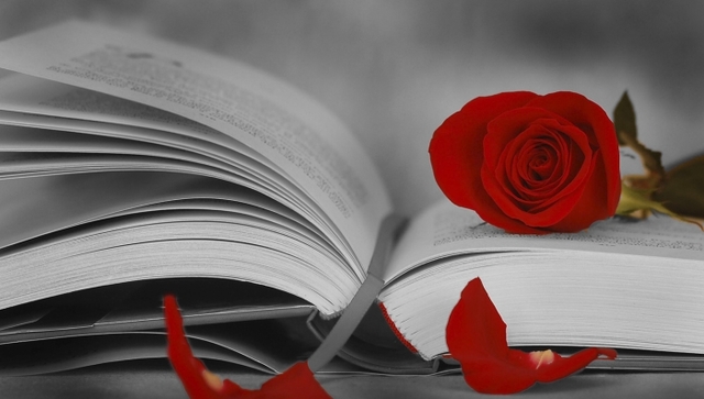 guanyo un concurs de fotografia