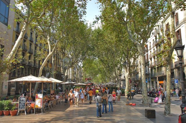 Atemptat a la rambla de Barcelona (social)