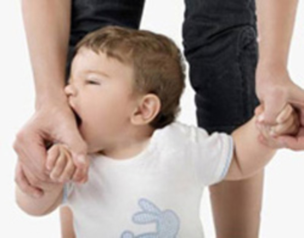 What to do When Your Toddler Bites