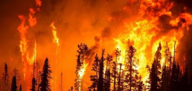 Cadena d'incendis forestals a Canadà i Estats Units (climàtic)