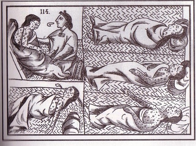 an epidemic of smallpox brought by the Europeans kills many native Americans