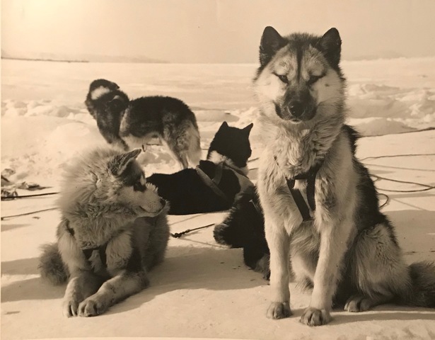 more base pictures 1