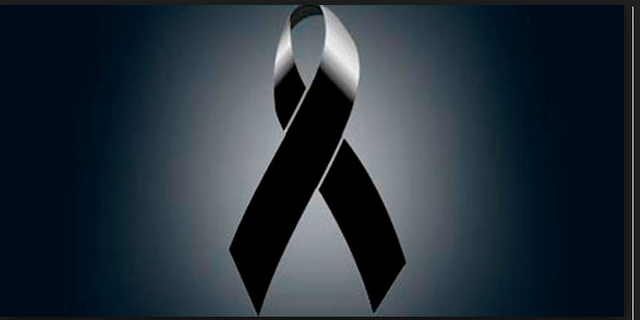 Mort de la meva vesavia