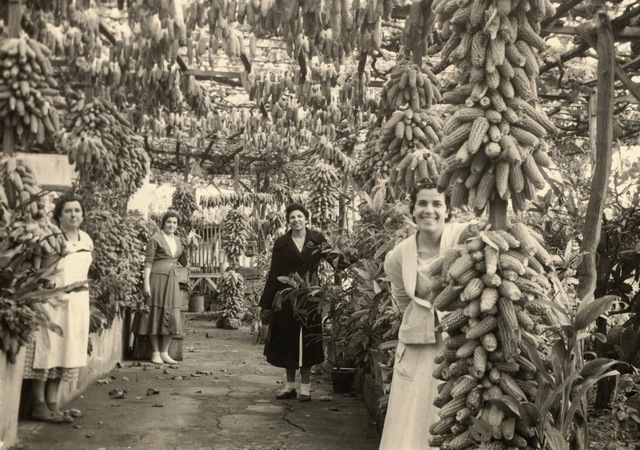 La Economía  de 1930.