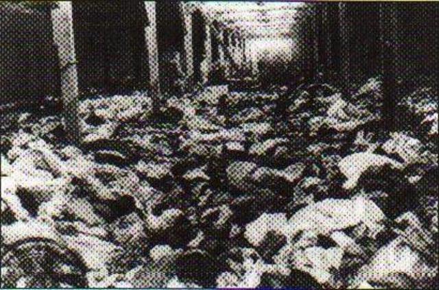 Over 100,000 Hungarian Jews were gassed in Auschwitz