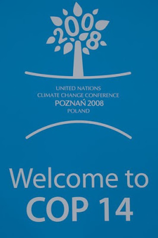COP 14: Poznán; La mirada hacia Copenhague