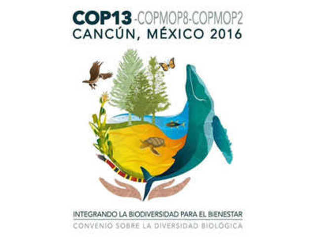 COP 13: Bali; La ruta hacia la sustitución del Protocolo de Kioto