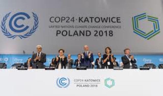 COP 24