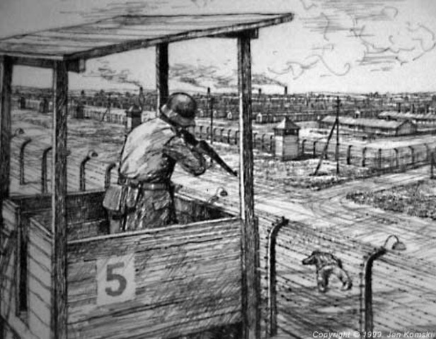 Vladek sees Anja in Birkenau