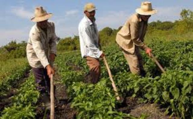 La sociedad canaria del siglo XVI