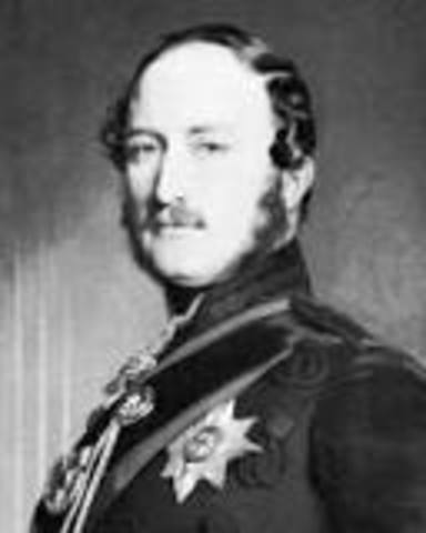 Prince Albert dies