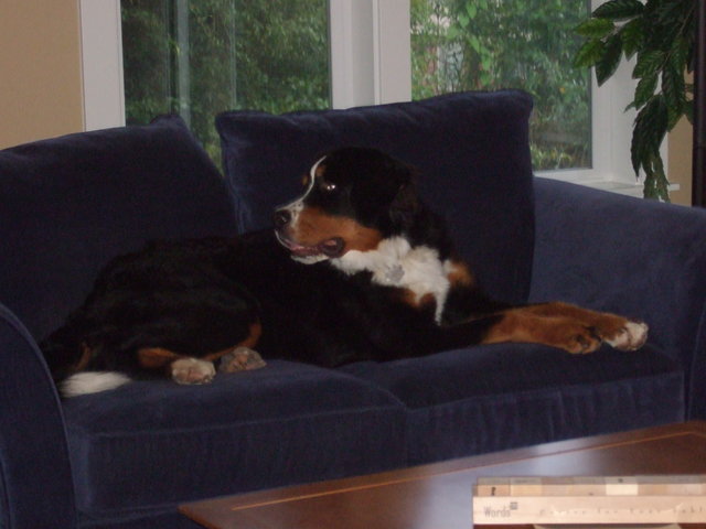 Frida Moves to the Big House